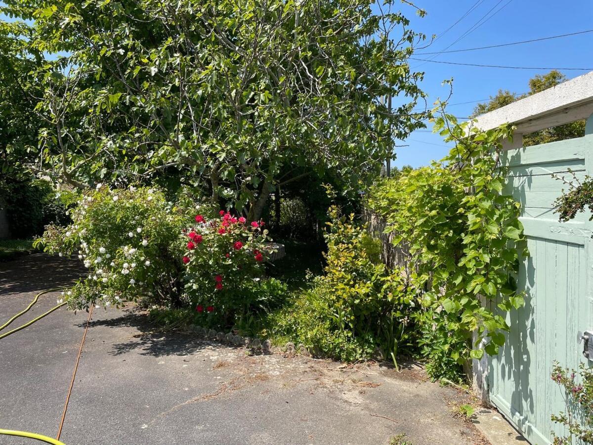 La Maison De Marie A 5 Minutes A Pied De La Plage Avec Parking Privee Et Gratuit Lion-sur-Mer Eksteriør bilde